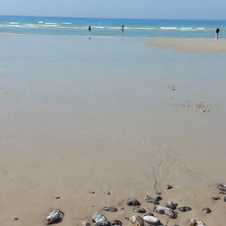 Idealement Situe, Vue Et Port, Proche Centre Lägenhet